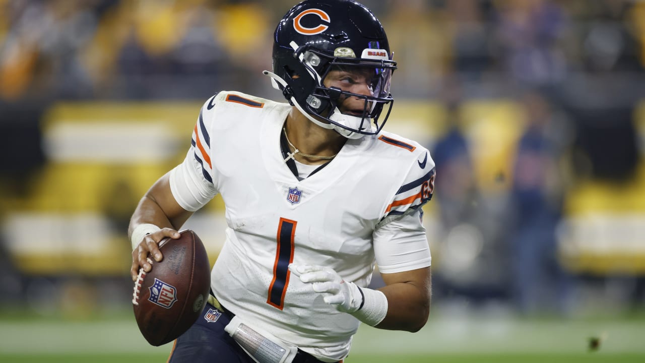 Previewing Bears