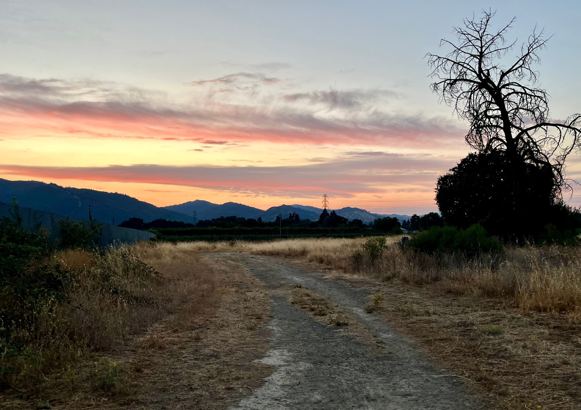 NWS issues Fire Weather Watch for Mendocino County – The Willits News