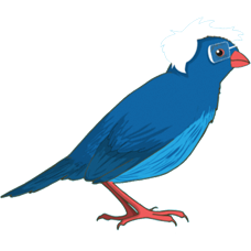 Favicon